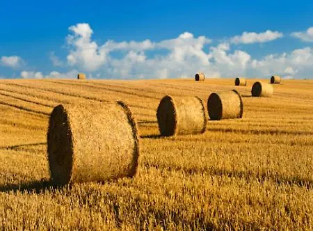 Le Clos Saint Vincent &